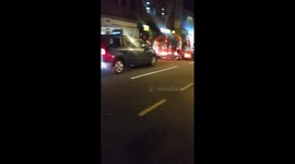 human cones cause havoc