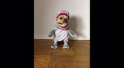temp