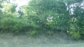 Crazy Original Juggling Tricks