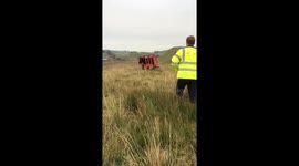 Traffic bull rescue attempt!