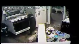 Dog attempts to set house on fire