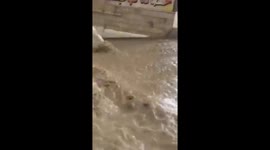 Amman - Jordan 5/11/2015 (3)