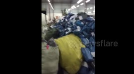 Singles Day tests express delivery companies in China