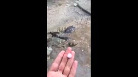 (Breaking News) Hailstorm out of the blue