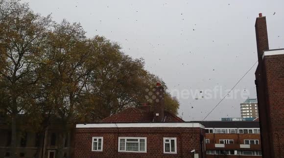 Storm Abigail hits London briefly, causing heavy wind and rain