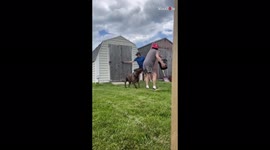 Girl's plan to throw water at friend backfires on her *She got SUPER-SOAKED!*