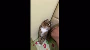 temp