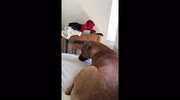 temp