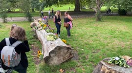 Memorial in Green Park for mourners to lay flowers for the Queen