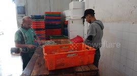 Palestinians work at factory to freeze fish in Gaza city.