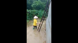 Woman rescues chicken stuck in flood water in Vietnam