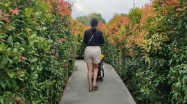 Get lost! Good luck escaping Malaysia's biggest maze garden