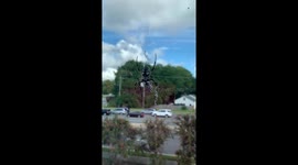 Spider entertains my patients while they have there teeth cleaned