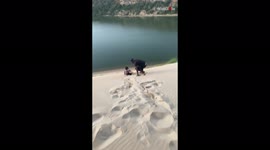 Girl sandboards down high dune and goes straight into water at full speed
