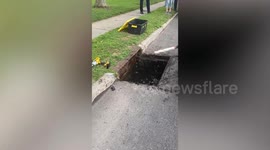 Drowning raccoon rescued from storm drain in Long Island, New York