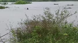 Dramatic moment stranded elephant is rescued from fast-flowing flooded river in Thailand