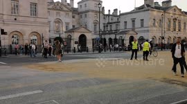 A security guard jokes with armed police as they walk down Whitehall after the Queens Lying In State ceremony
