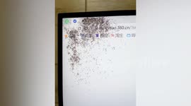Colony of ants nest in monitor and crawl across woman's screen