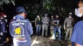 Hungry wild elephant kills national park ranger after being 'disturbed while eating'