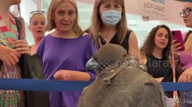 Showstopper UAE royal falcons star ar International Fair in Greece