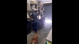 I feel good - having fun at work - laughing is good for the soul