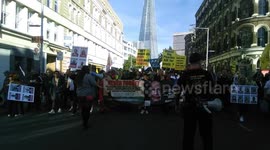 Anti-WEF march brings Central London areas to a halt