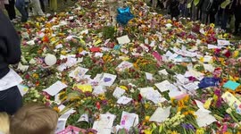 A new floral tributes garden for The Queen has been opened on Hyde Park as Green Park reaches capacity