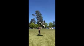 Australia's flash tornado lifts campers' belongings over 50 feet into air