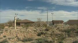 Help Recover Desert Tortoises in the Wild With This Hotline