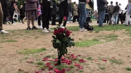 A bouquet of roses is planted into the ground at Hyde Park during The Queen's funeral with the ambiance of the sound of the cannons in the background