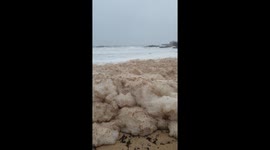 Tall mountain of sea foam resembling cappuccino froth covers beach in Australia