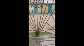 Hurricane Fiona in Puerto Rico