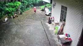 Lightning strikes tree moments after woman walked past in China
