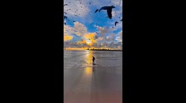 Nice vedio beautiful moment I m very excited to see this vedio