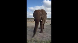 SOUND ON! This is what it sounds like to have an up close and personal experience with a herd of elephant