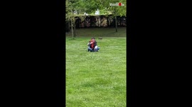 Proof that Holi colors make everything look more GRANDIOSE