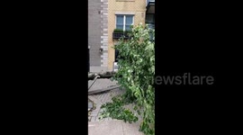 Storm Fiona: Major damage in Nova Scotia, Canada, after hurricane-force winds hit