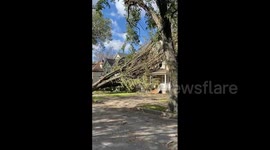 Storm Fiona uproots trees in Nova Scotia, Canada