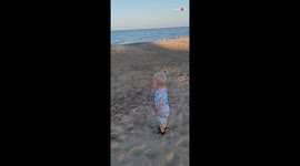 Adorable toddler encounters 'So Cute' seagulls on beach