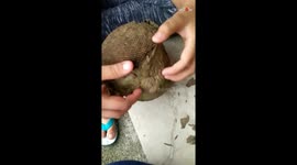 Girl runs away in fear after suddenly encountering a swarm of insects