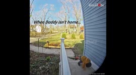 2 y/o boy says 'Hi' to daddy at work on Ring camera every day