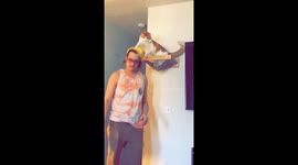 Cheeky cat goes viral as it steals its owner's hats off his head