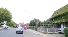 UK couple finds natural way to keep their home warm by covering their house in a climbing plant