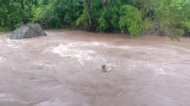 Pet dog rescued after it slips off student's arms as they cross overflowing river together