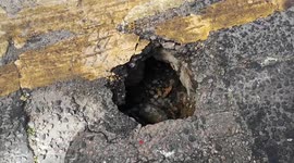 Hole-y crap! Massive pothole spotted on London streets