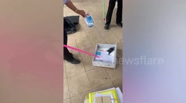 Baby snake sparks panic after it is found hiding inside employee’s drawer