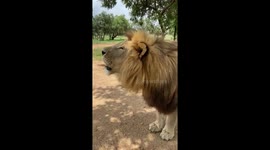 the video is about wildlife game and nature and how fantastic and it is to watch