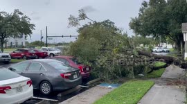 Downed trees in Hurricane Ian aftermath in Kissimmee, Florida