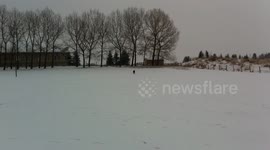 Dog runs through snow