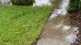 Severe floods caused by Hurricane Ian in Orlando, USA